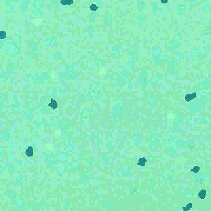 Çizilmeye dayanıklı ve yüksek elastikiyete sahip kauçuk zemin kaplaması