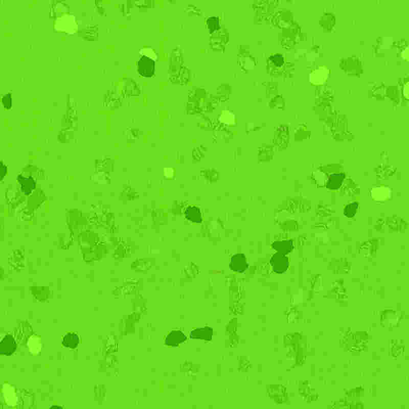 Çizilmeye dayanıklı ve yüksek elastikiyete sahip kauçuk zemin kaplaması