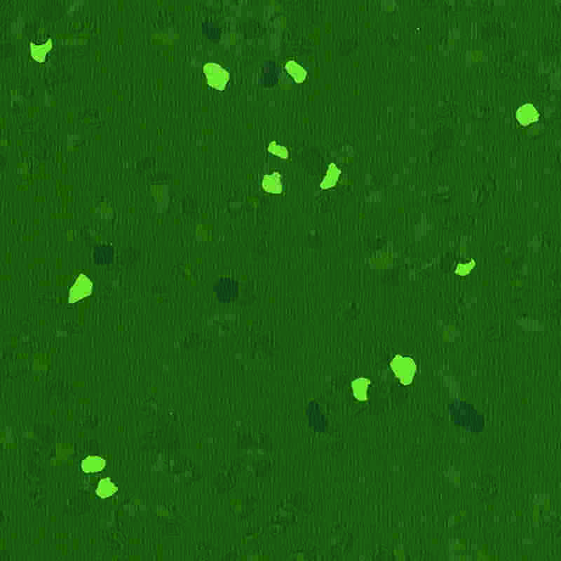 Çizilmeye dayanıklı ve yüksek elastikiyete sahip kauçuk zemin kaplaması