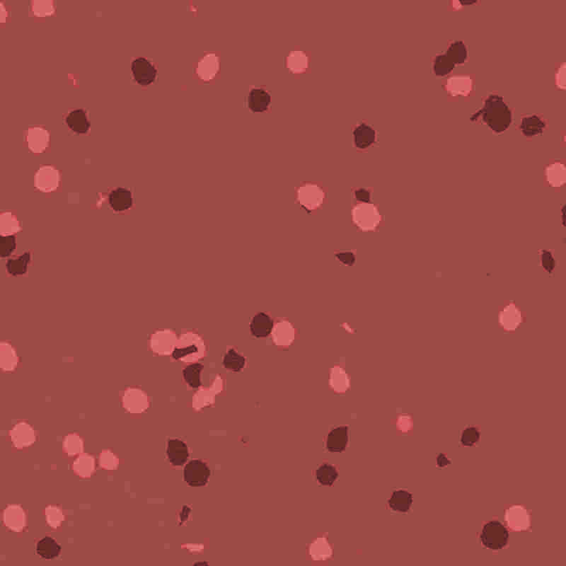 Alev geciktirici ve su geçirmez kauçuk ve plastik zemin kaplaması