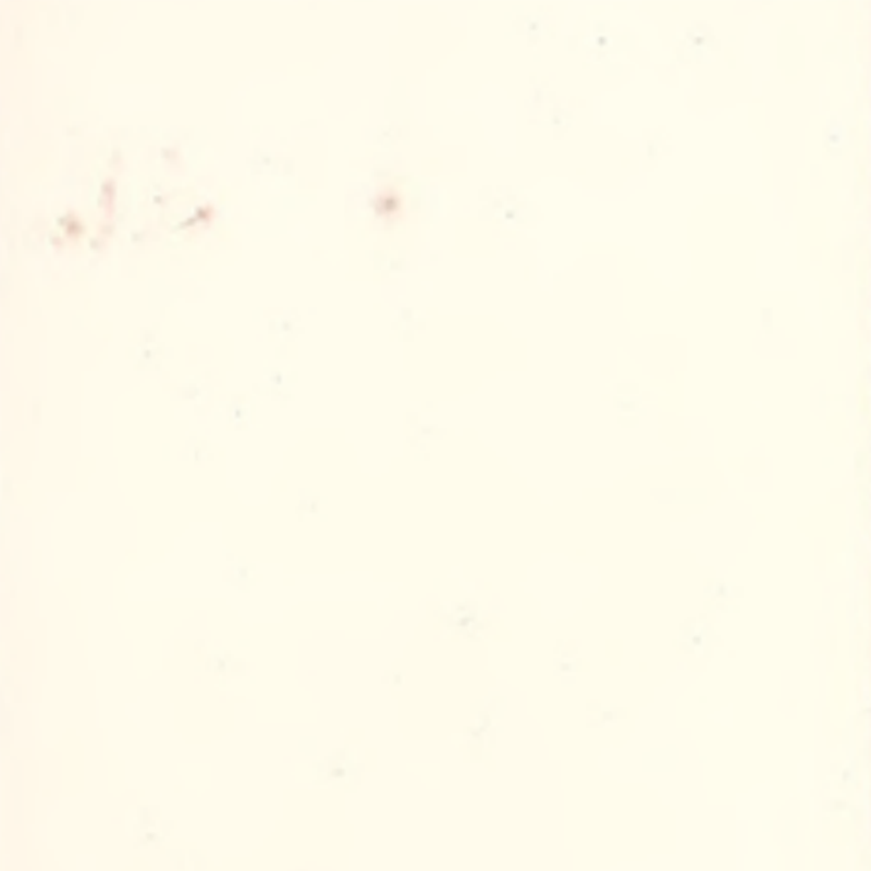 Yüksek uyarlanabilirlik ve dikişsiz kauçuk döşeme